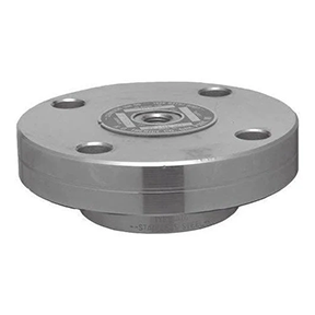 TRERICE - Flange-Mounted Diaphragm Seals